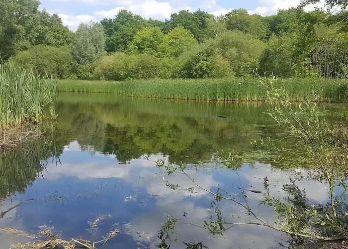 Hébergement de vacances L'escapade Carvinoise, Parking, Jardin, Au Calme Carvin
